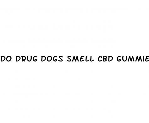 do drug dogs smell cbd gummies