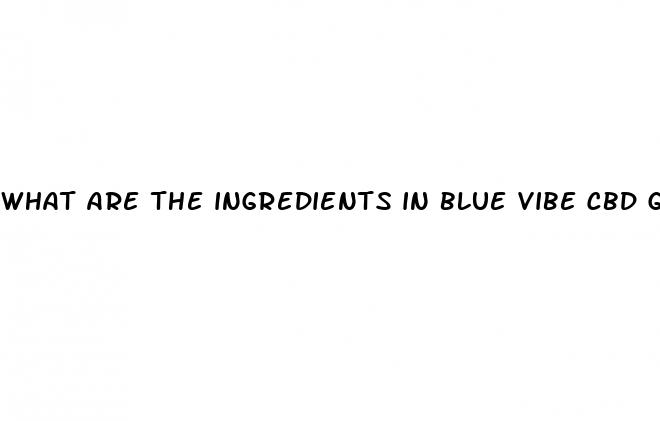 what are the ingredients in blue vibe cbd gummies