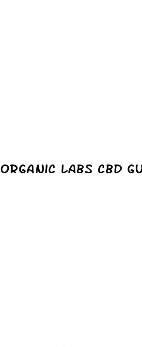 organic labs cbd gummies