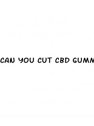 can you cut cbd gummies in half