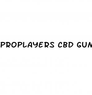 proplayers cbd gummies