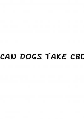 can dogs take cbd gummies