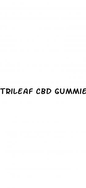 trileaf cbd gummies for ed