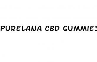 purelana cbd gummies