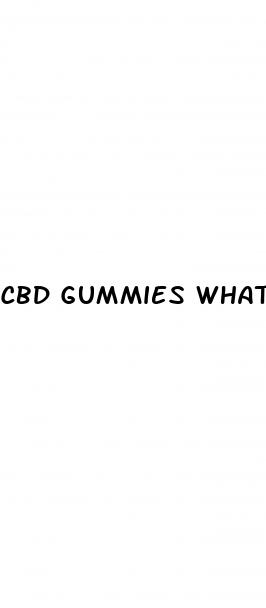 cbd gummies what s in them