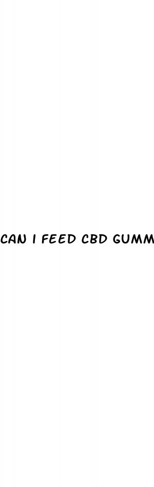 can i feed cbd gummies to my dog