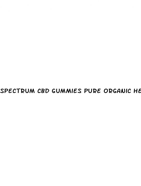 spectrum cbd gummies pure organic hemp extract 300mg