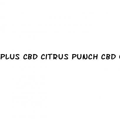 plus cbd citrus punch cbd gummies