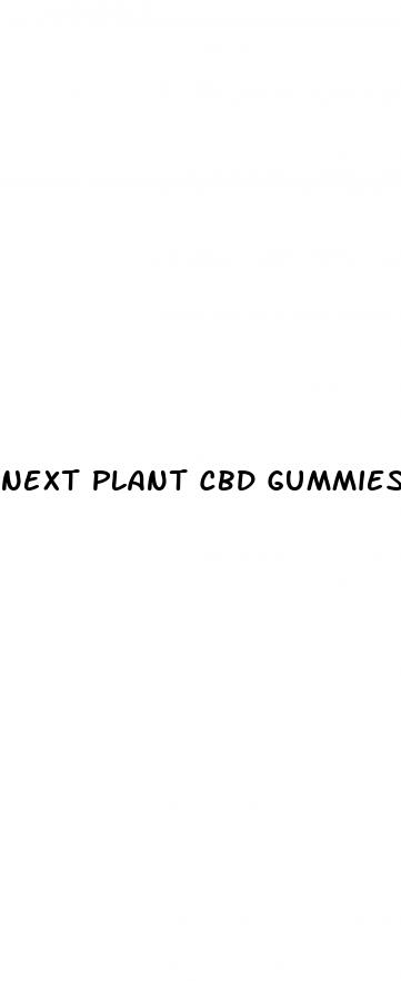 next plant cbd gummies 600mg