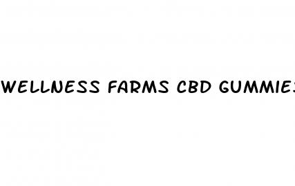 wellness farms cbd gummies for ed