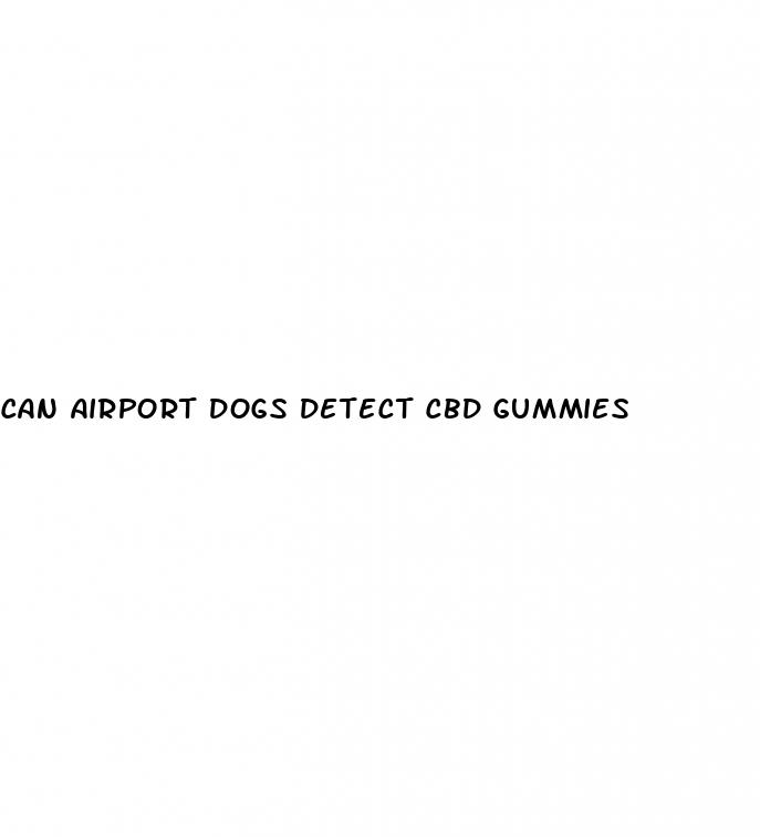 can airport dogs detect cbd gummies