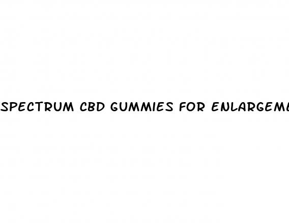 spectrum cbd gummies for enlargement