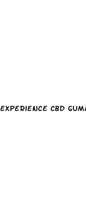 experience cbd gummies