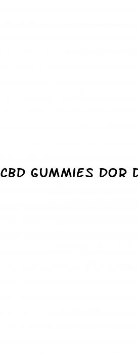 cbd gummies dor dogs