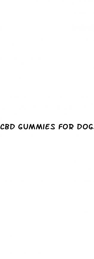 cbd gummies for dogs to calm down