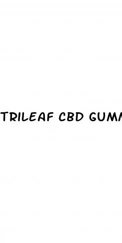 trileaf cbd gummies scam shark tank