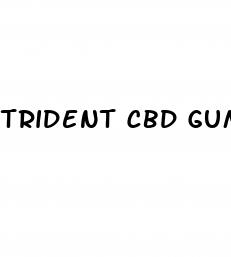 trident cbd gummies for ed