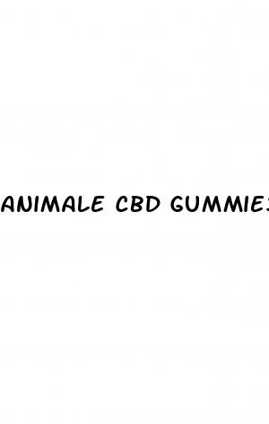 animale cbd gummies male enhancement