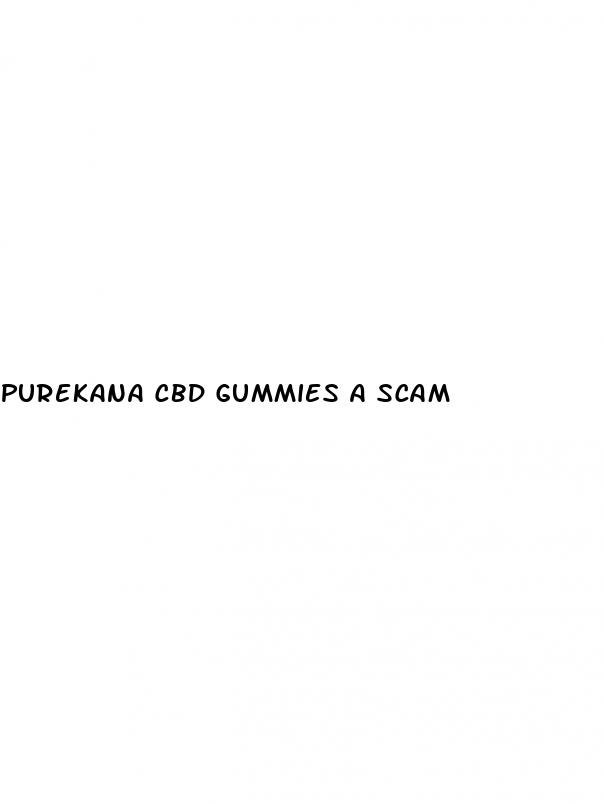 purekana cbd gummies a scam