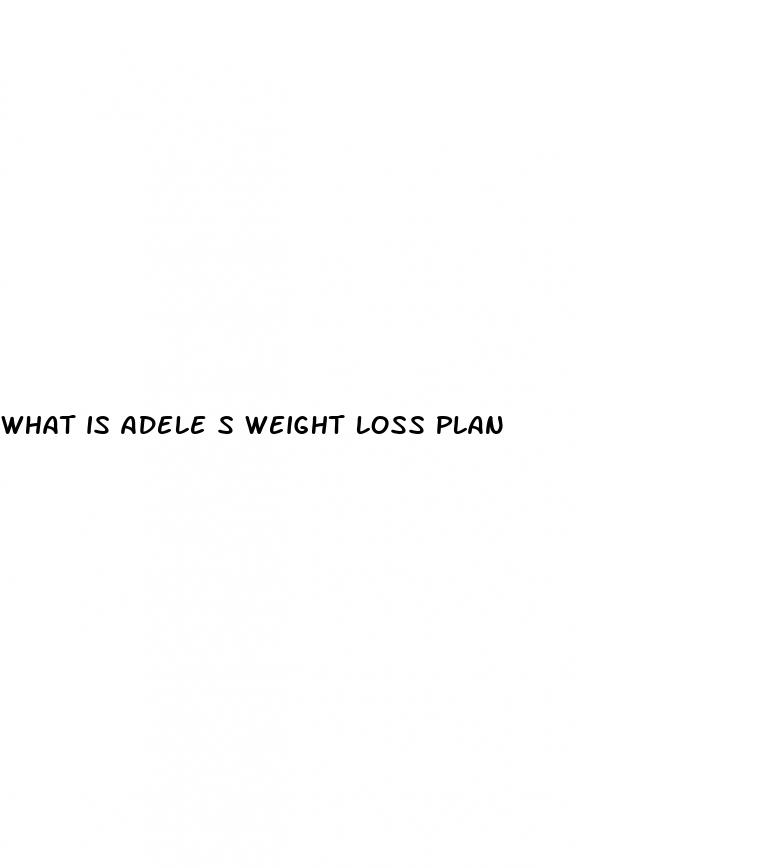 what is adele s weight loss plan