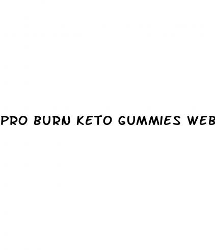 pro burn keto gummies website