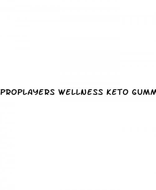 proplayers wellness keto gummies