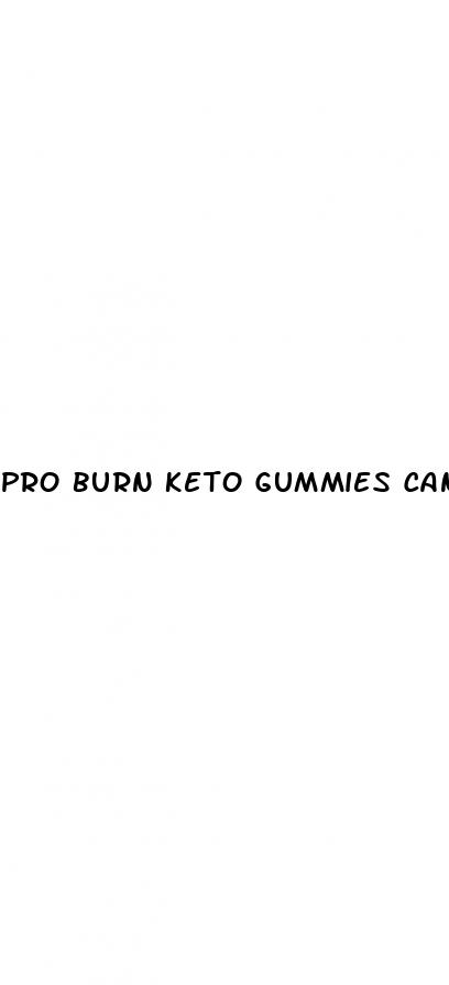 pro burn keto gummies cancel subscription