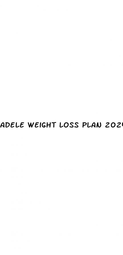 adele weight loss plan 2024