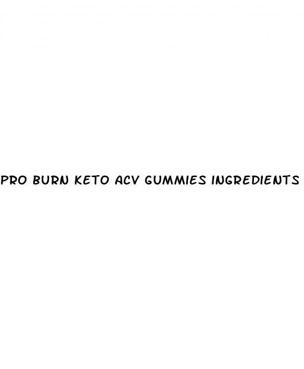 pro burn keto acv gummies ingredients list