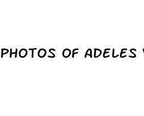 photos of adeles weight loss