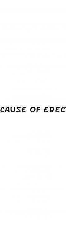 cause of erectile dysfunction scholarly article