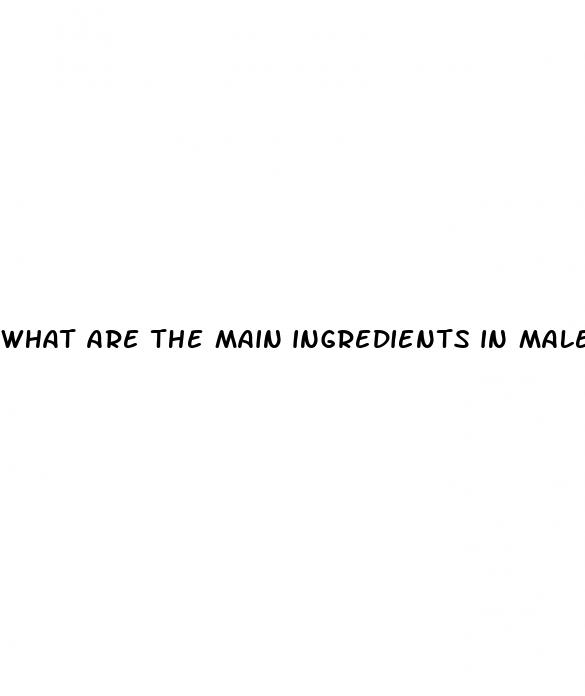 what are the main ingredients in male enhancement pills