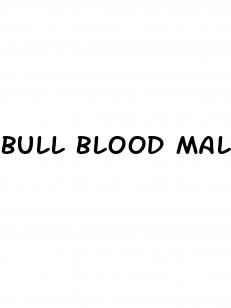 bull blood male enhancing pills