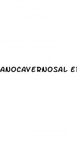 anocavernosal erectile dysfunction syndrome