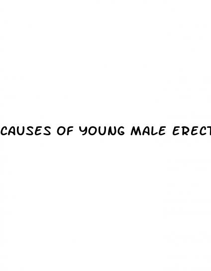 causes of young male erectile dysfunction