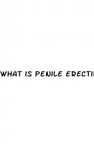 what is penile erectile dysfunction