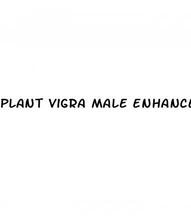 plant vigra male enhancement pills reviews