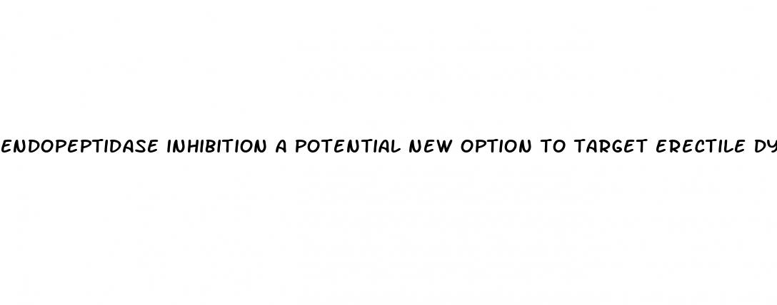 endopeptidase inhibition a potential new option to target erectile dysfunction
