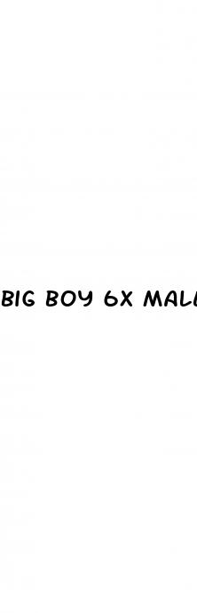 big boy 6x male enhancement pills