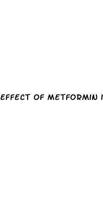 effect of metformin in erectile dysfunction