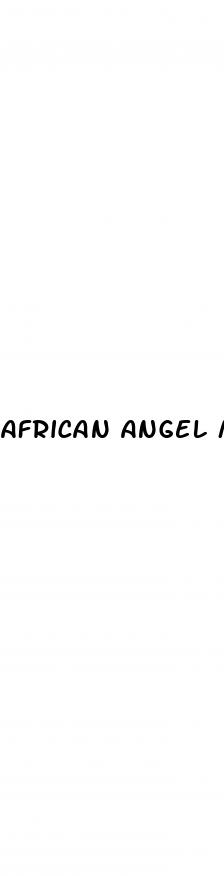 african angel male enhancement