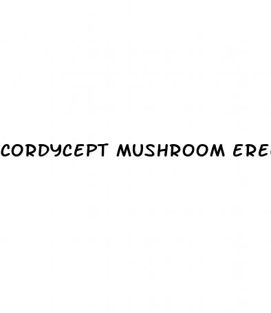 cordycept mushroom erectile dysfunction