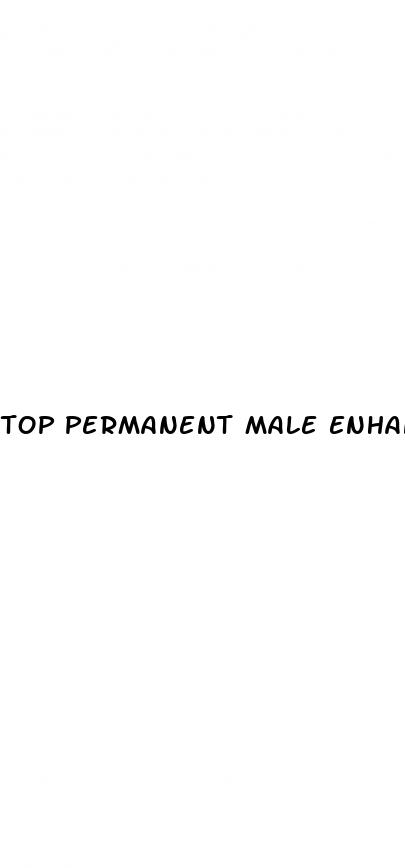 top permanent male enhancement pills