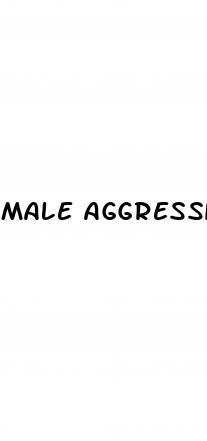 male aggression enhancer