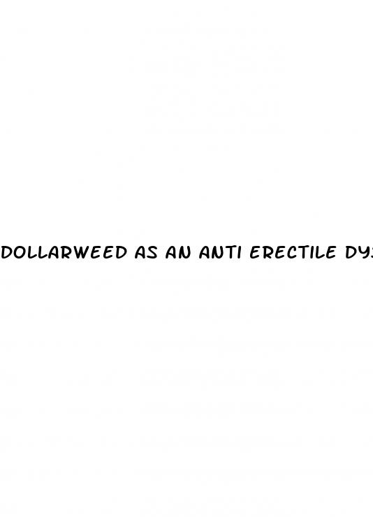 dollarweed as an anti erectile dysfunction aid