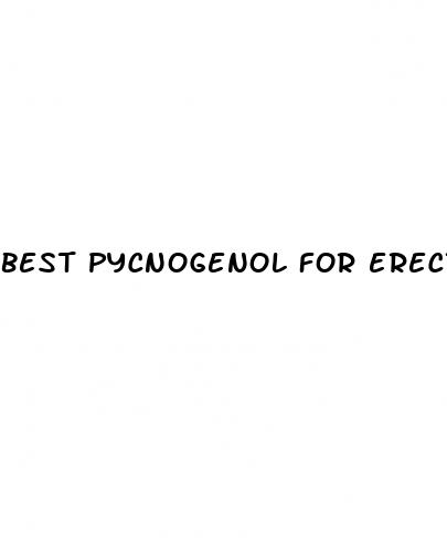 best pycnogenol for erectile dysfunction