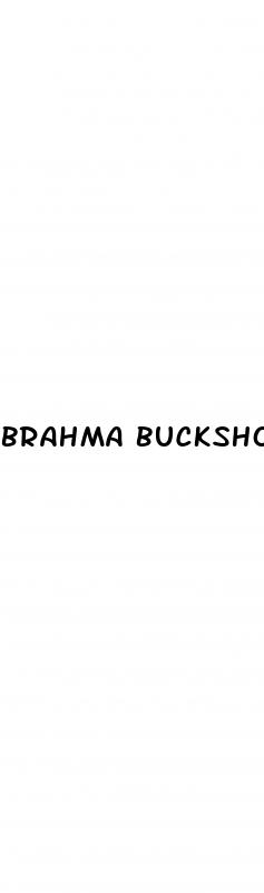 brahma buckshot male enhancement review