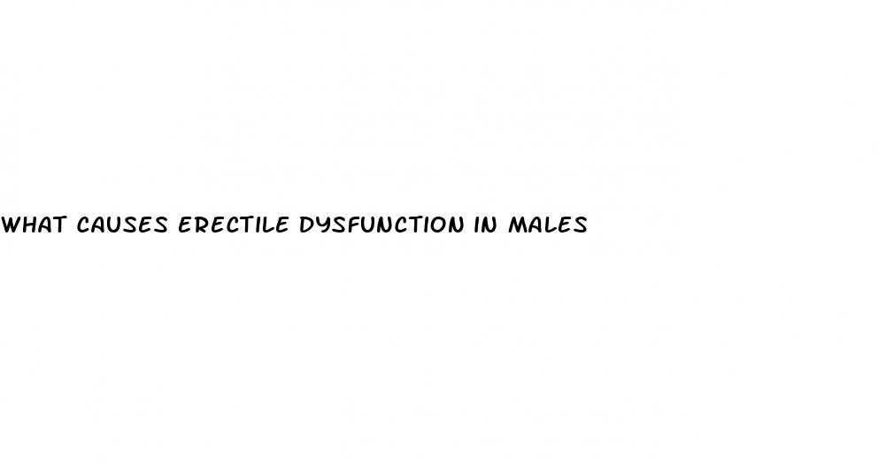 what causes erectile dysfunction in males