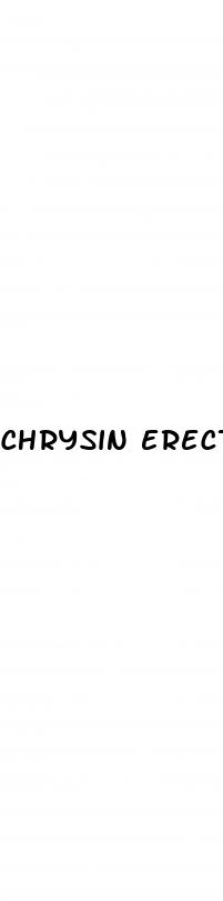 chrysin erectile dysfunction