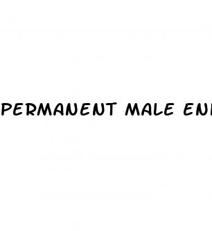 permanent male enhancement surgery cost